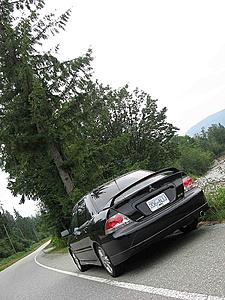 Official "Labrador Black" Picture Thread-img_1006.jpg