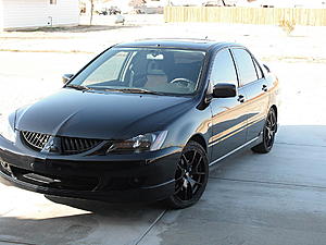 Official "Labrador Black" Picture Thread-car-001.jpg