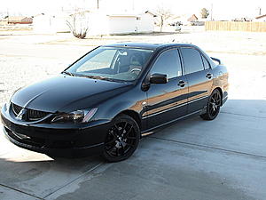 Official "Labrador Black" Picture Thread-car-002.jpg