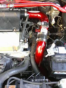 Flip's Whip-2.jpg