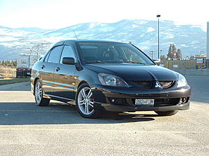Official "Labrador Black" Picture Thread-grills-008.jpg