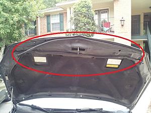 Where to get new hood to cowl rubber seal?-2012-10-06-08.55.42.jpg