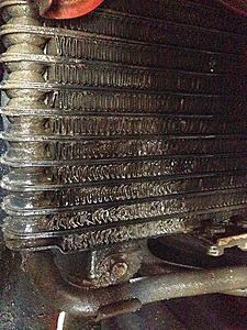 Holy crap! Clean your transmission radiator!-transcooler.jpg
