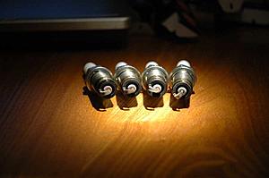 read my plugs-plugs3.jpg