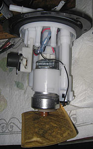Who's Running a Walbro (F90000267) 416LPH E85 Compatible Fuel Pump?-img_1270_m1.jpg