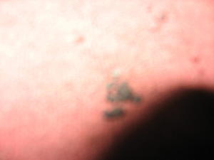 engine building-img_1260.jpg