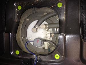 Double pumper identification help-image.jpg