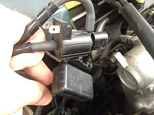 Aaaaaa what the hell is this?-img_6826.jpg