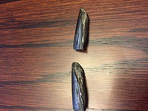 Huge gear teeth found in trans fluid --pic-- HELP!-image.jpeg