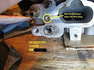 Official torque specs thread-egrplug.jpg