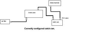 PCV system theory and Oil catch cans.-catch-can-setup.jpg