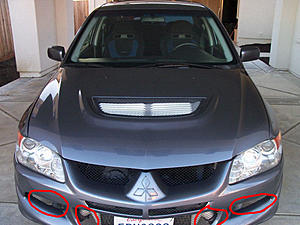 Looking at an EVO-100_1166.jpg