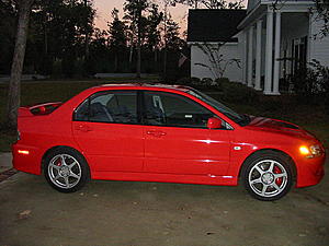 Wingless-evo2.jpg