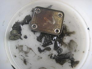 test drive went wrong..-img_0235.jpg
