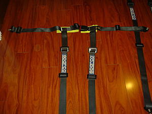 Sparco harness-dsc05022.jpg