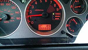 The Dream is Real-483.jpg