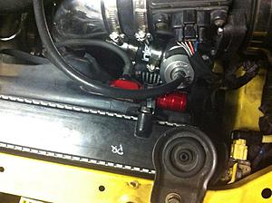 BOV Issues-boviii.jpg