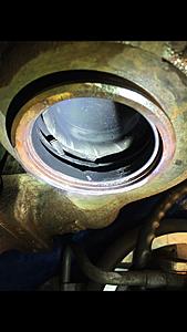 What do you think this is?-image.jpg