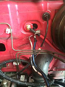 AEM Infinity in the engine compartment :)-img_4271.jpg