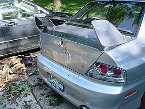 So a tree fell and hit my Evo...-dsc02816.jpg