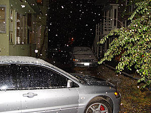 Snow, anyone?-333333.jpg