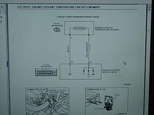 p0117- need help-p0117-003.jpg
