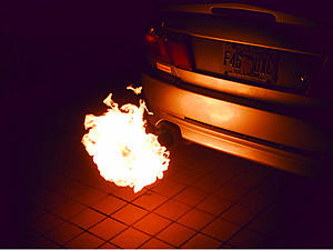 BBQ Anyone?-flamer.jpg