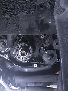 Timing belt replacement question-timing.jpg