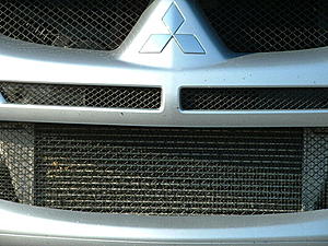 Custom Intercooler Screen-grill-up-close.jpg