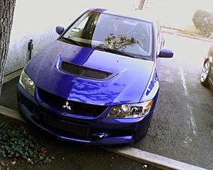 Official "Electric Blue" Picture Thread-img000523332.jpg