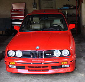 New Stable Mate-m3.jpg