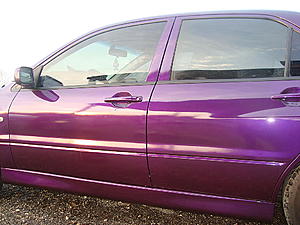 Deep Lylac Evo 8 (the beginning )-dsc04543.jpg