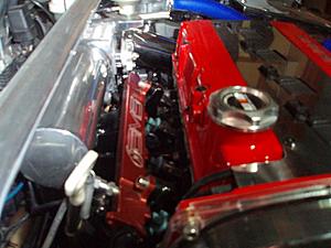Official Engine Bay Picture Thread-p1012544-800x600-.jpg
