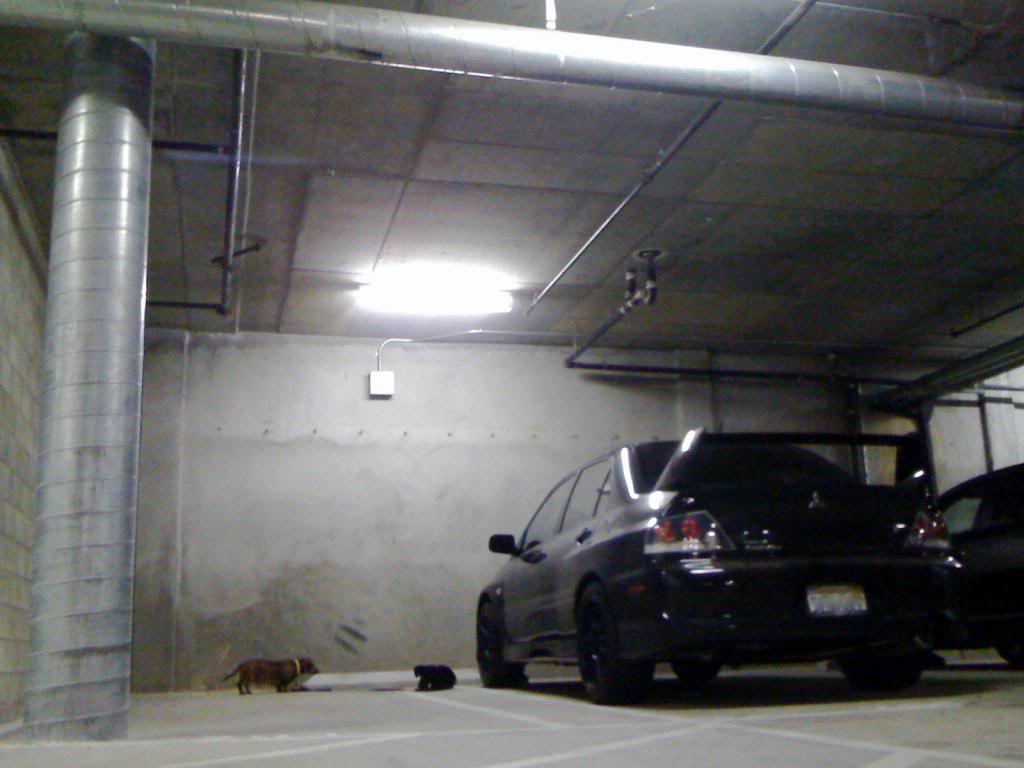 Name:  IMG_0350.jpg
Views: 0
Size:  68.1 KB