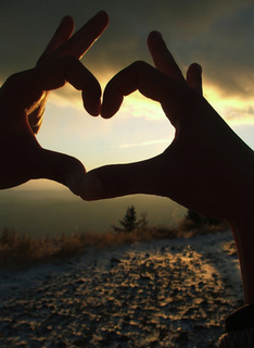 Name:  heart.png
Views: 0
Size:  343.6 KB