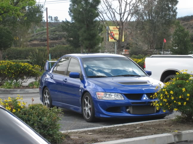 Name:  Evolution077.jpg
Views: 0
Size:  85.6 KB
