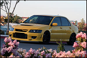 VB301 shoot: quick 5 pix-dumpling2.jpg