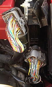 Emergency please help !-ecu-pic.jpg