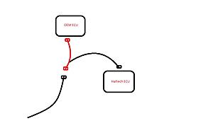 ECU Harness-harness.jpg