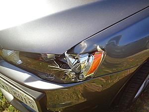 I hate deer!-dsc00116.jpg