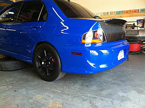 why wingless?-img_0323.jpg