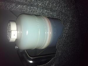Could use some advice-img_3115.jpg