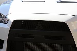 want to debadge the front logo, and black the AC line... how?-img_6358_1200x800.jpg