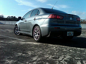wingless X?-evo-2.jpg