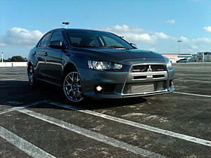 wingless X?-evo-3.jpg