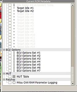 Mitsu CAN RAM Parameter Logging-5555.jpg