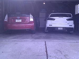 New to evolution.net-evo.jpg
