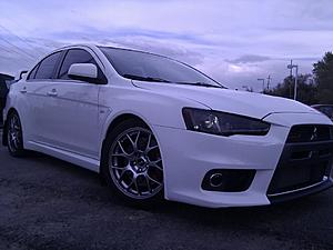 New to evolution.net-evo1.jpg