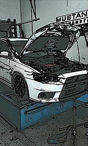 New to evolution.net-evo3.jpg