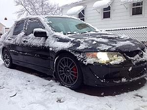 Newbie-evo.jpg